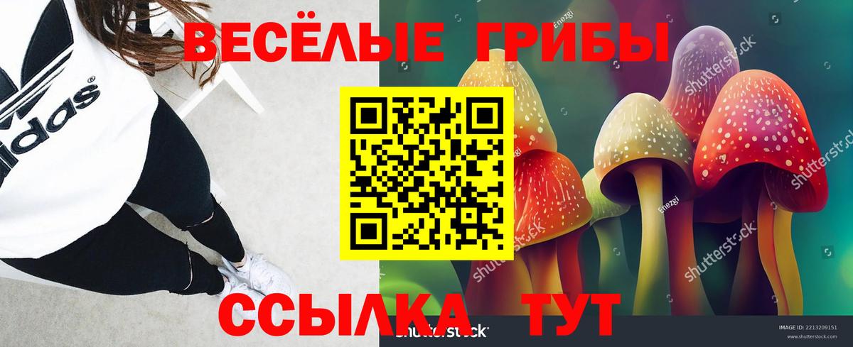 Галлюциногенные грибы Psilocybine cubensis  Вход с VPN  хочу   Азов 